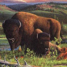 NEU Web-Decke "Buffalo Land"