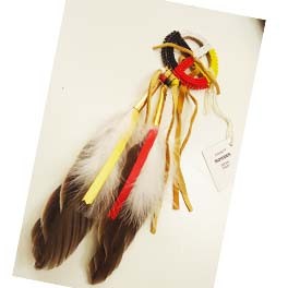 Feder/Medizinrad "4 Directions" der Mohawk (Six Nations)