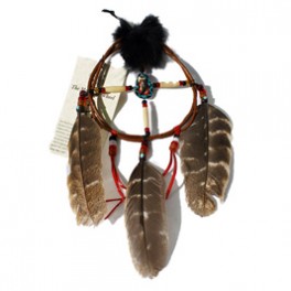 Medizinrad der Cherokee