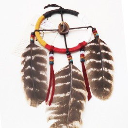 4 Directions  Medizinrad der Cherokee