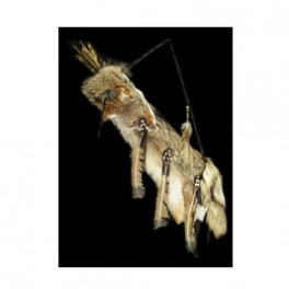 Pfeilköcher aus Coyotenfell der Navajo