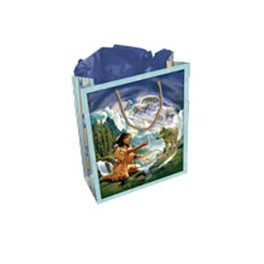 Tasche mit Geschenkspapier und -karte