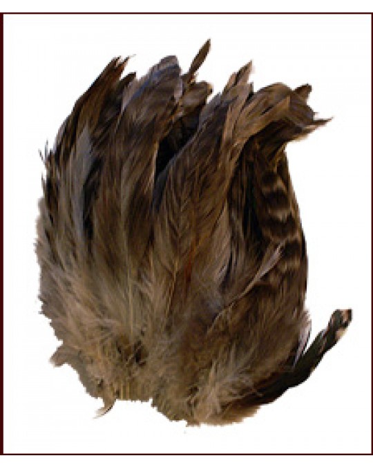 Zierhahnen-Federn  "Chinchilla"