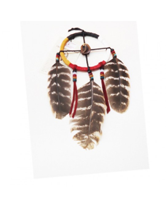 4 Directions  Medizinrad der Cherokee