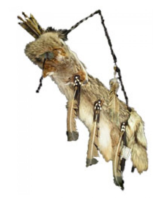 Pfeilköcher aus Coyotenfell der Navajo
