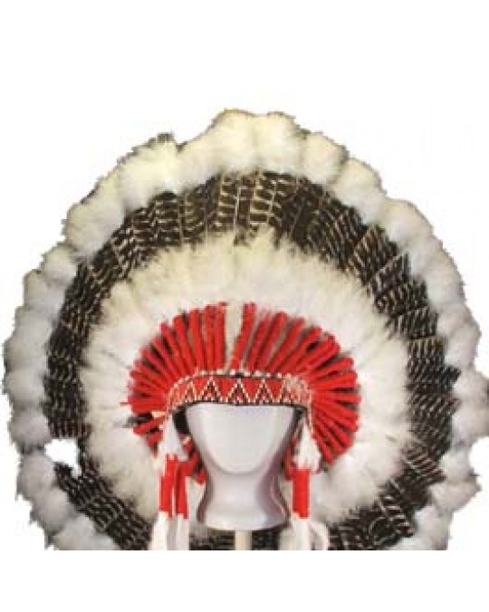 Original Federnschmuck Navajo