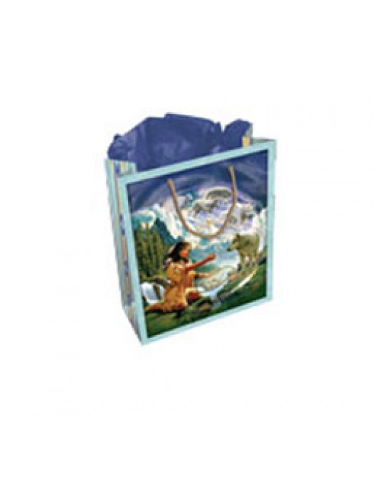 Tasche mit Geschenkspapier und -karte
